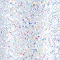 Peggy Sage Smalto per Unghie Celeste 5680 - 5 ml
