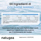 Collagene marino Peptan® con acido ialuronico e vitamina C