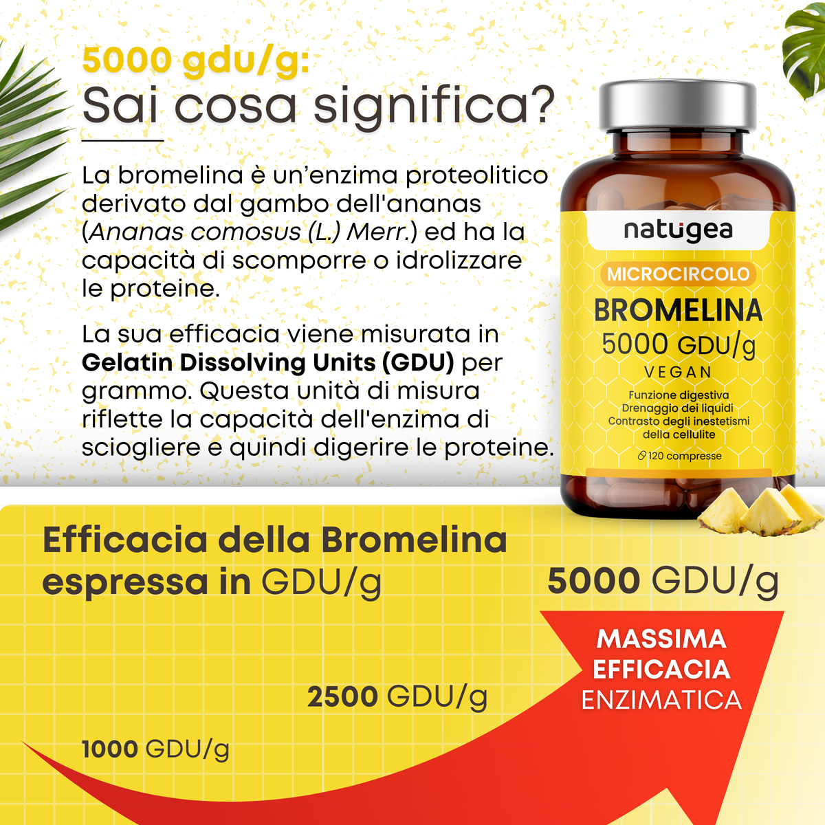 Bromelina 5000 GDU/g · 120 compresse