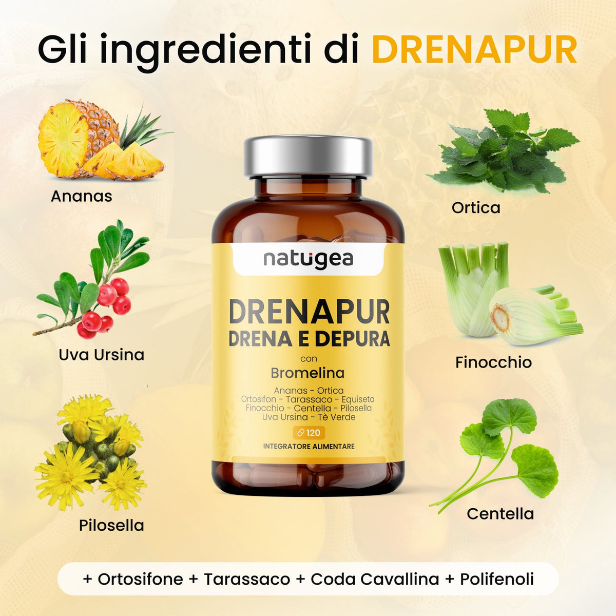 Ananas, centella, ortosifon e tarassaco · 120 capsule